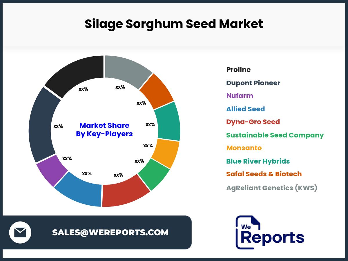 Silage Sorghum Seed