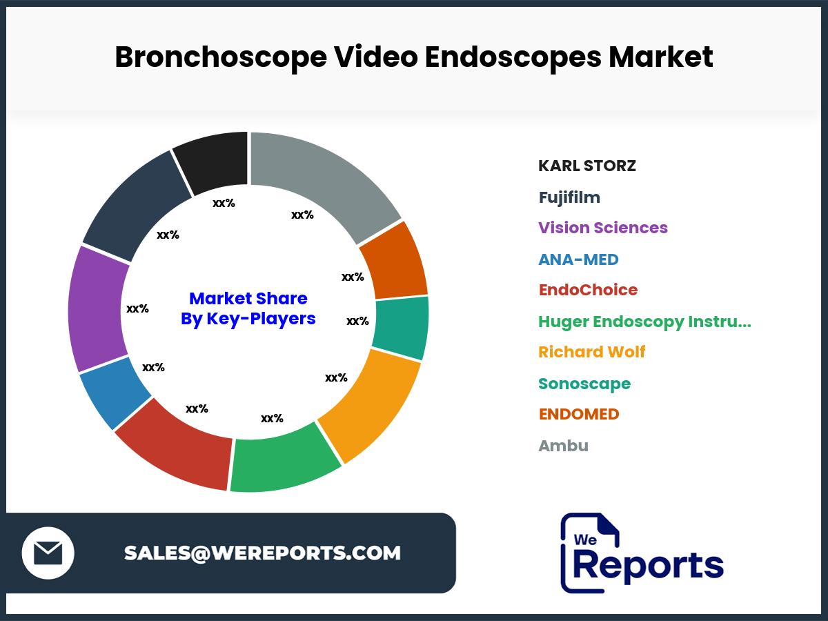 Bronchoscope Video Endoscopes