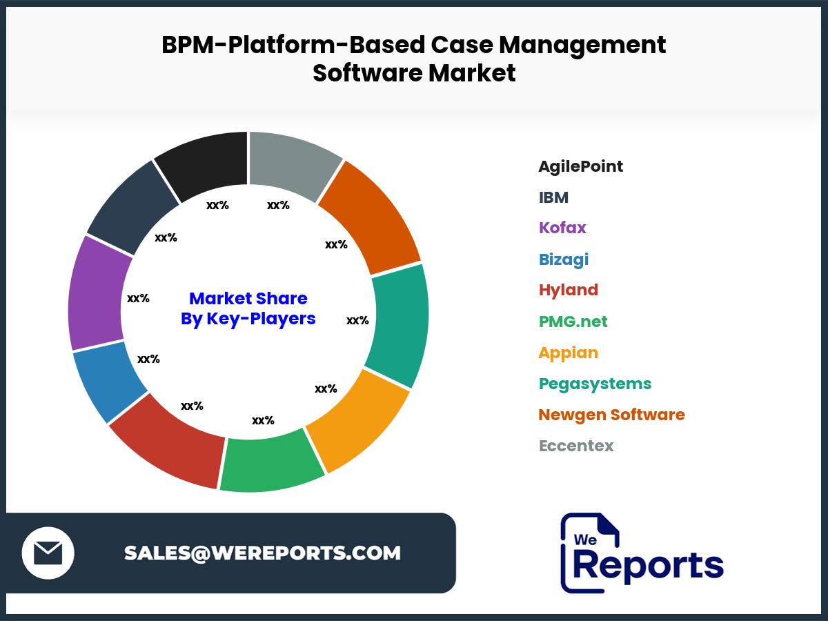 BPM-Platform-Based Case Management Software