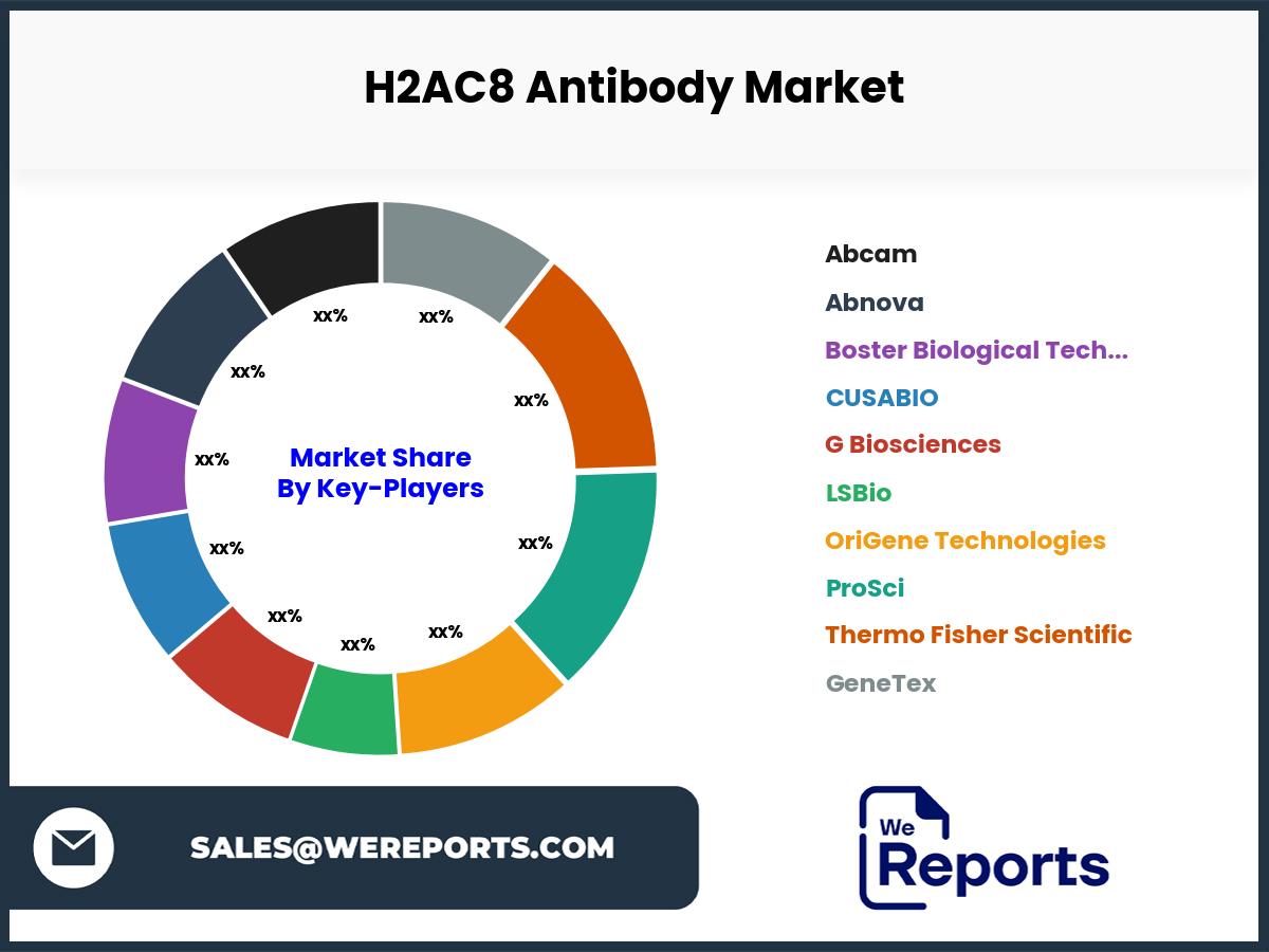 H2AC8 Antibody