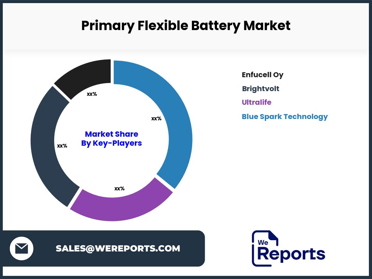 Primary Flexible Battery