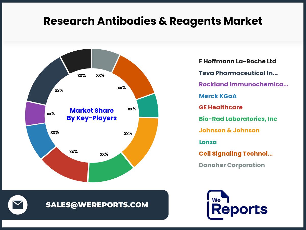 Research Antibodies & Reagents