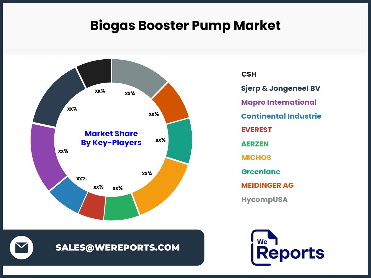 Biogas Booster Pump