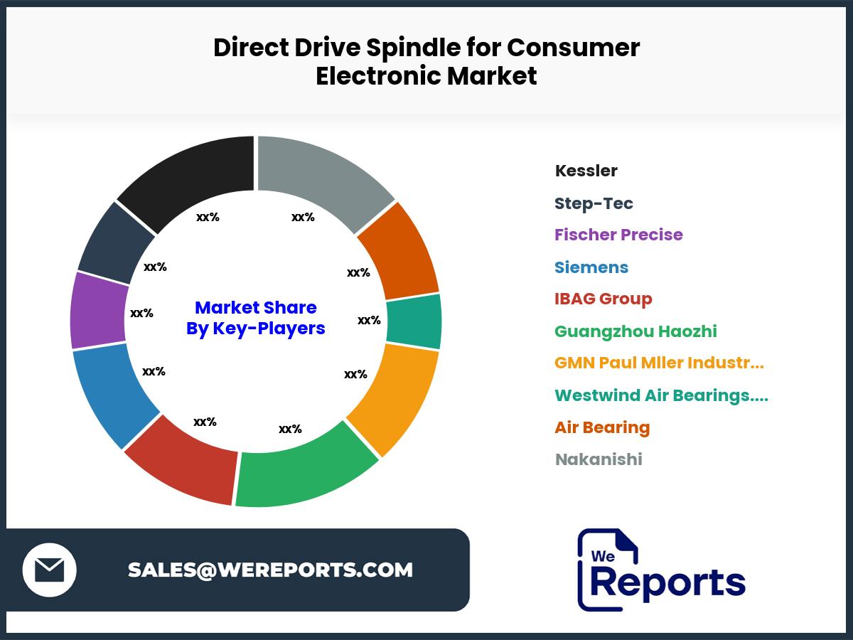 Direct Drive Spindle for Consumer Electronic