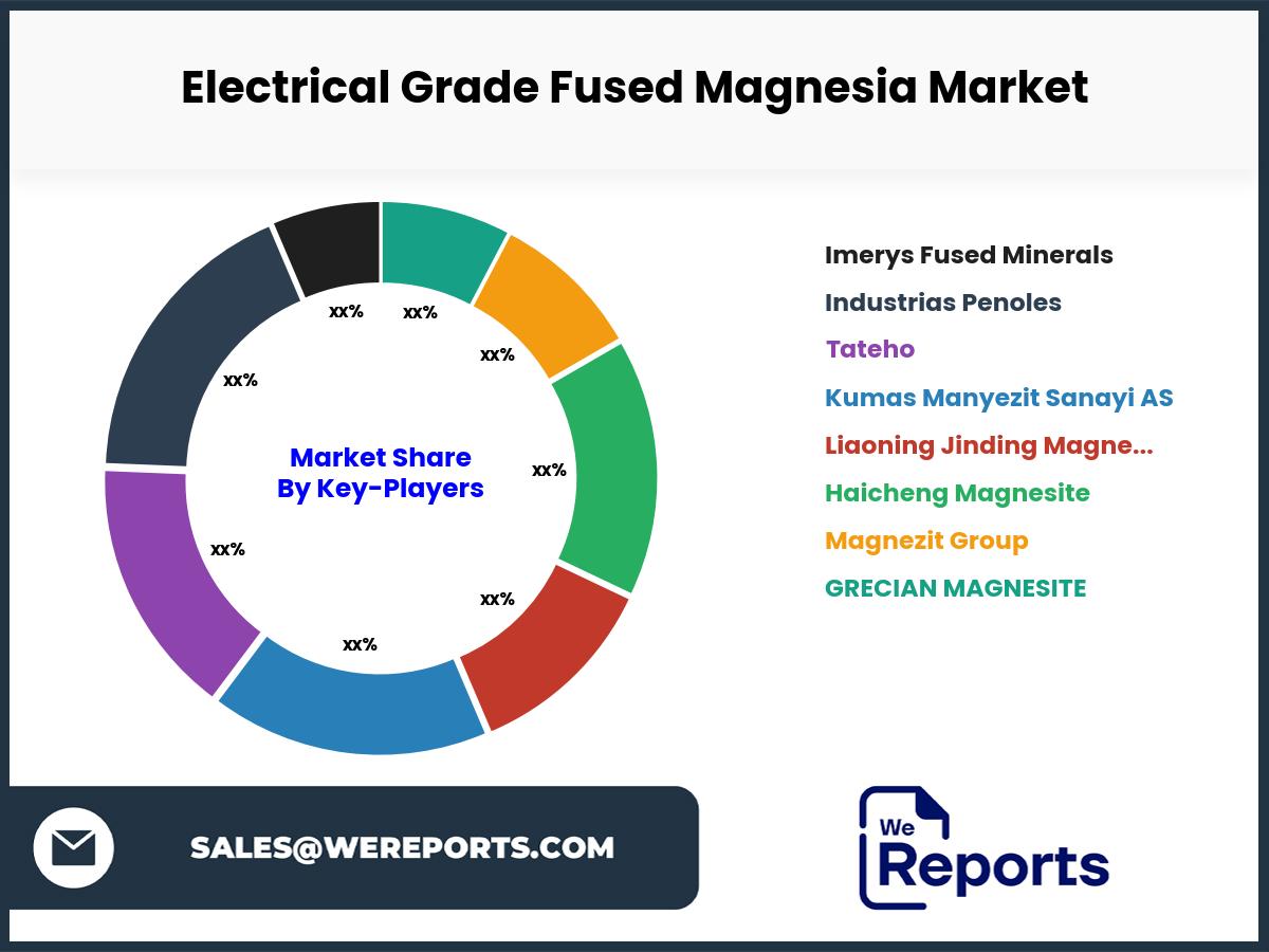 Electrical Grade Fused Magnesia