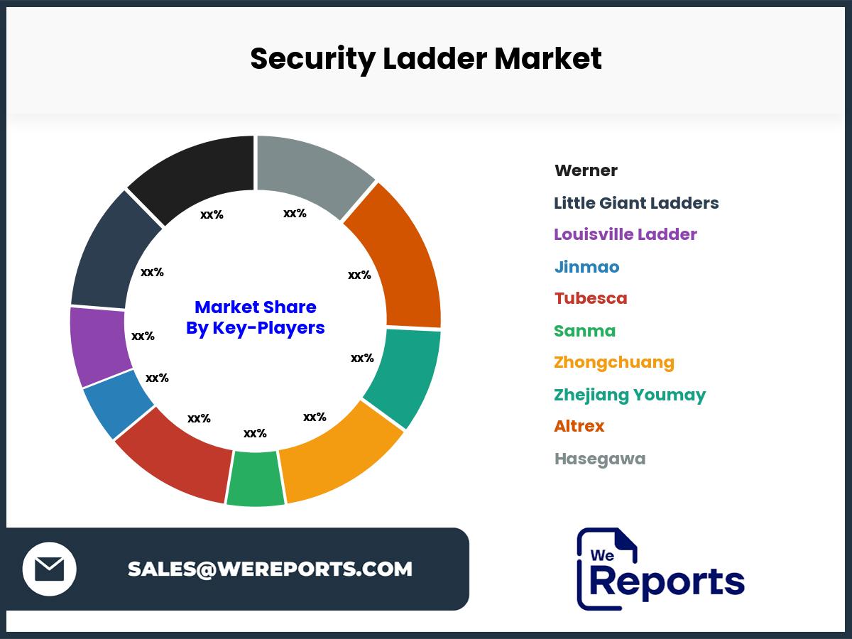 Security Ladder