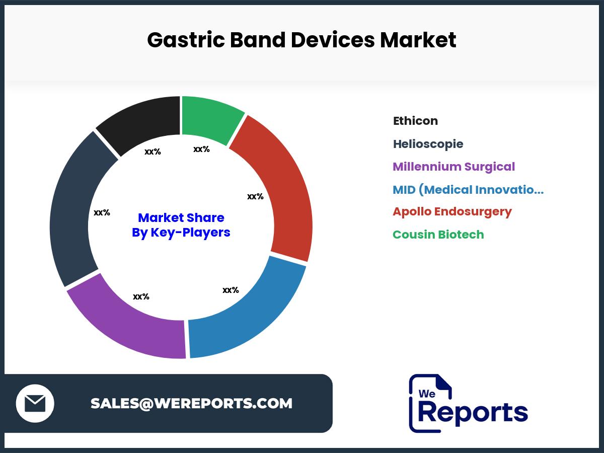 Gastric Band Devices