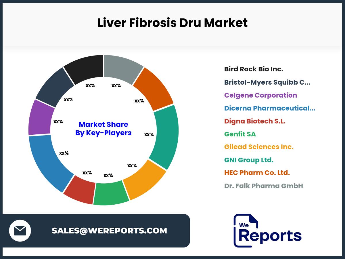 Liver Fibrosis Dru