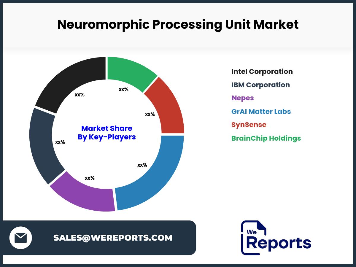 Neuromorphic Processing Unit