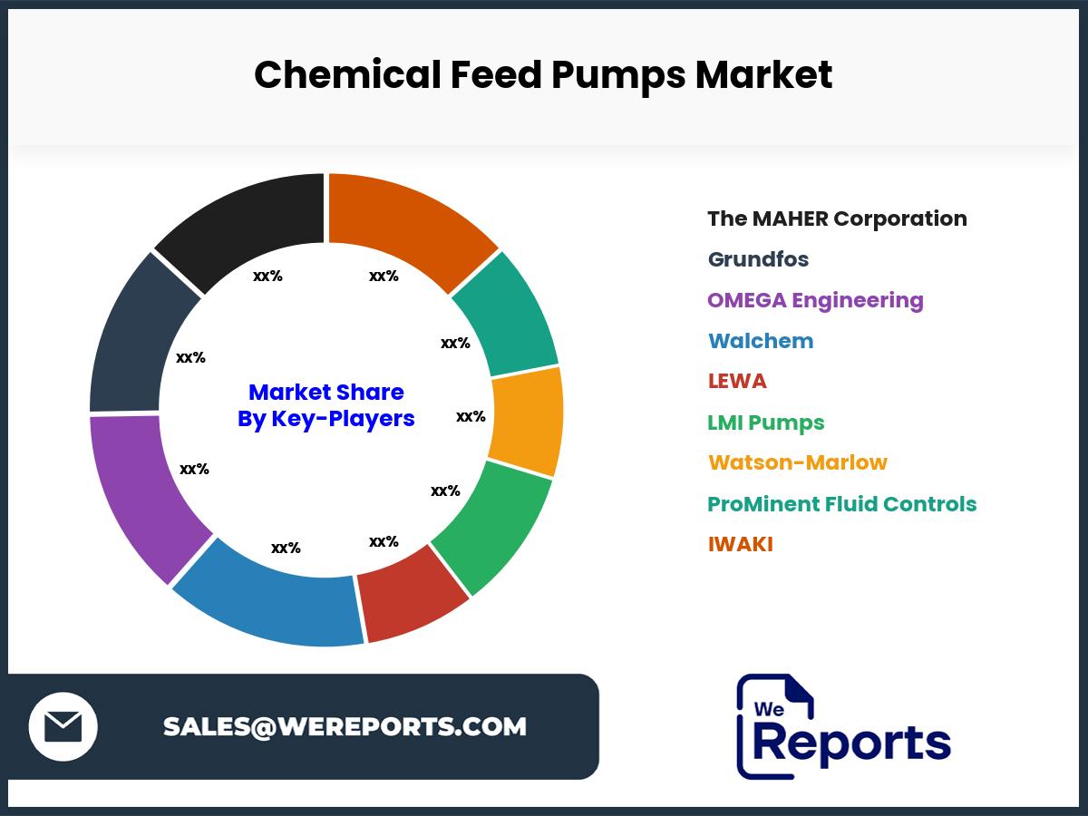 Chemical Feed Pumps