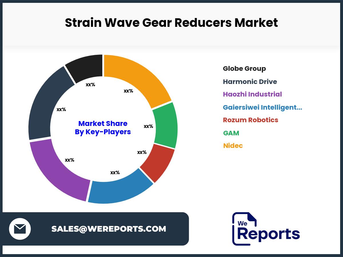 Strain Wave Gear Reducers