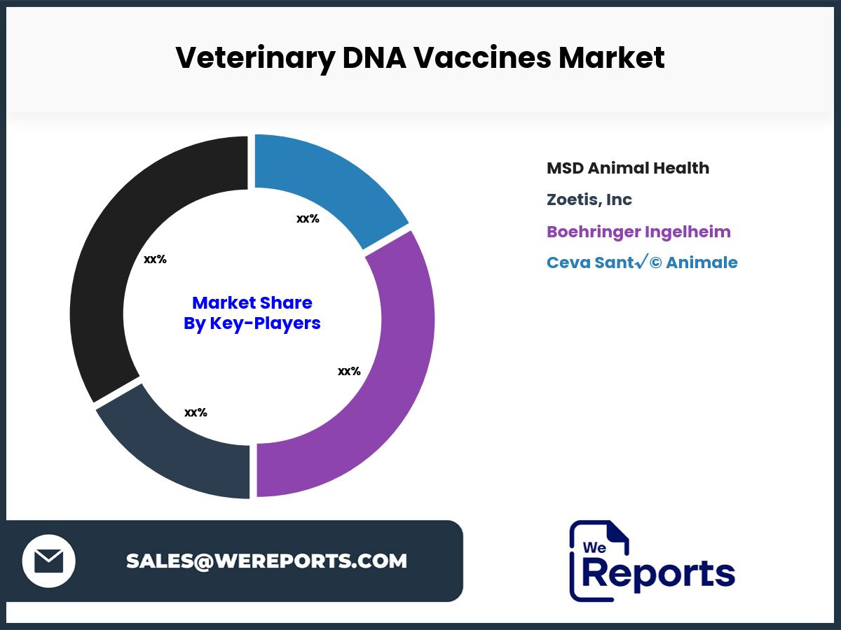 Veterinary DNA Vaccines