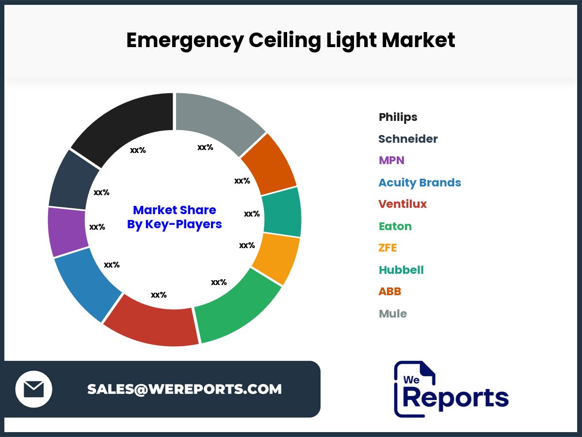 Emergency Ceiling Light