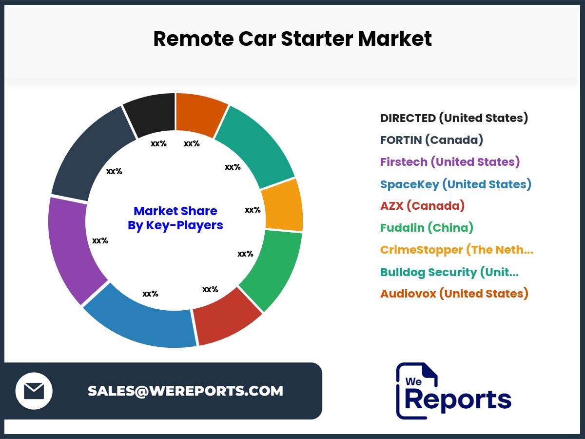 Remote Car Starter