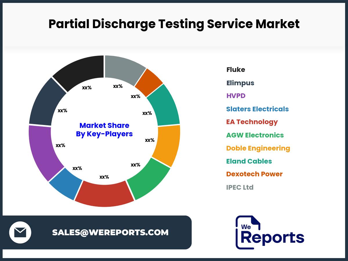 Partial Discharge Testing Service