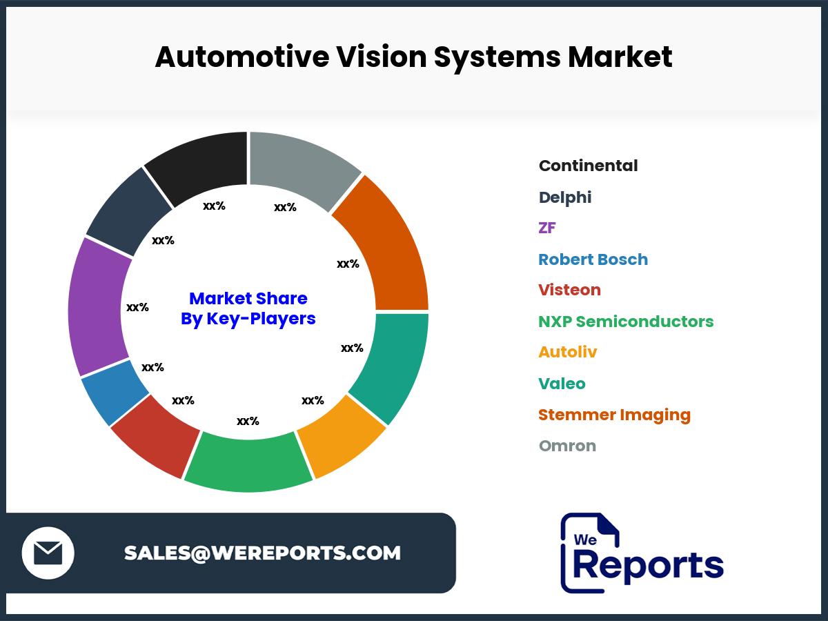 Automotive Vision Systems