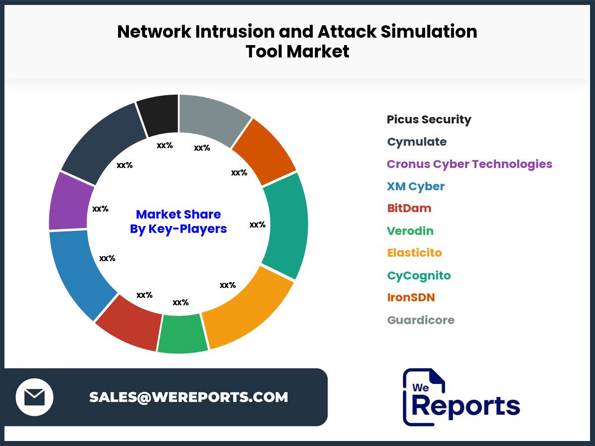 Network Intrusion and Attack Simulation Tool