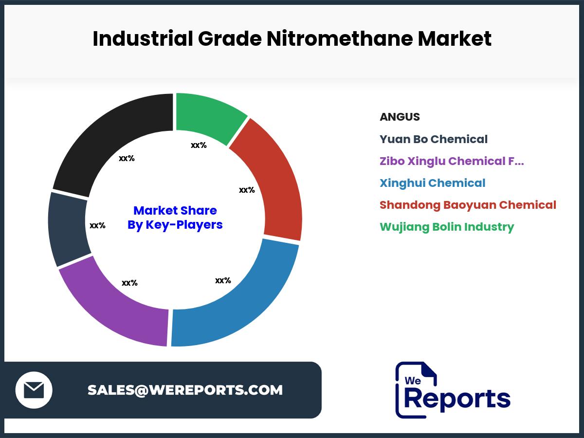 Industrial Grade Nitromethane Market