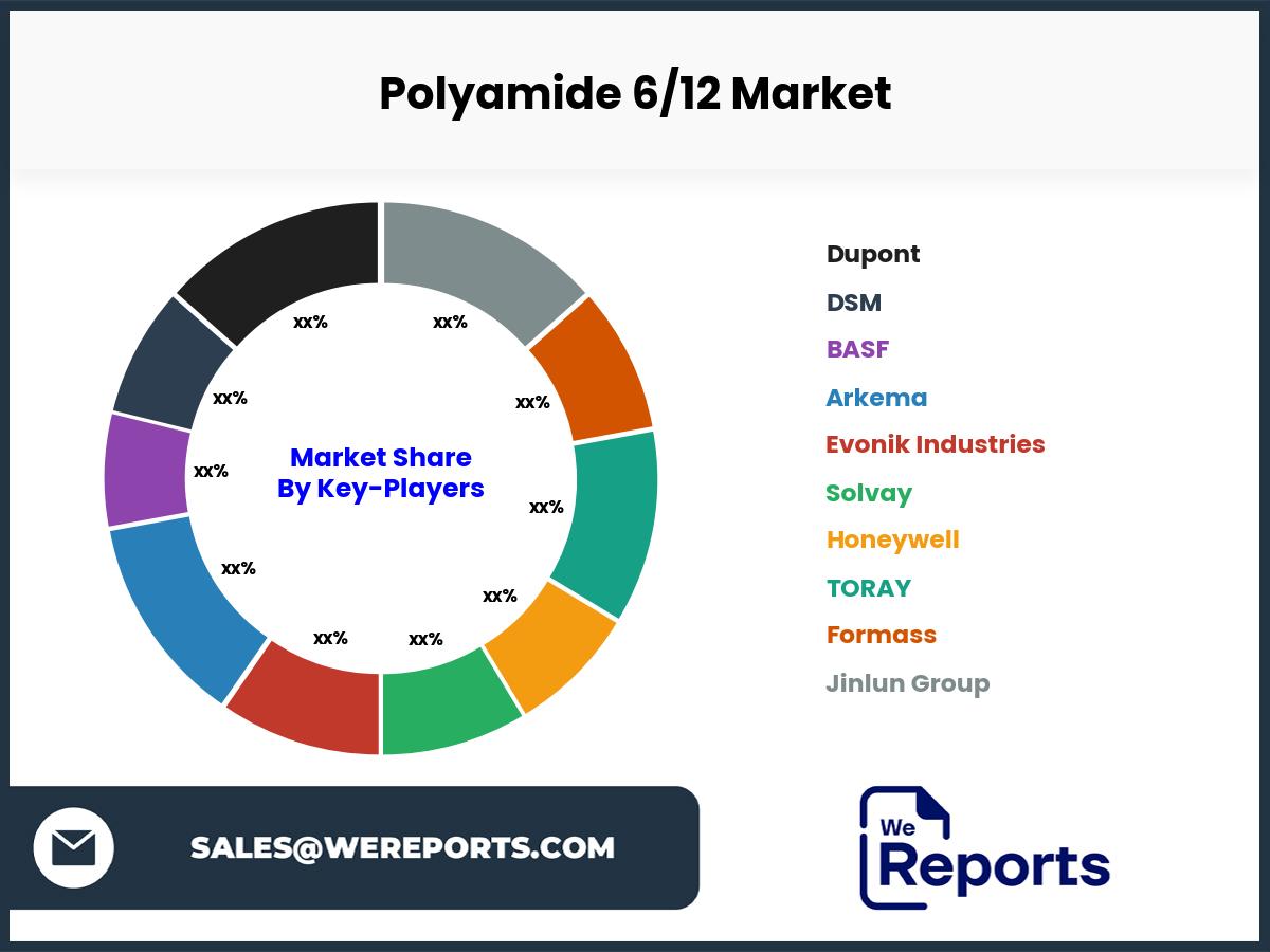 Polyamide 6/12 Market