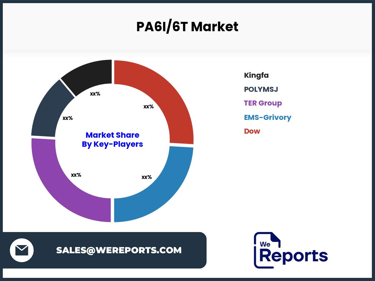 PA6I/6T Market