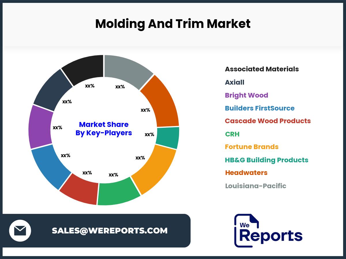 Molding And Trim Market