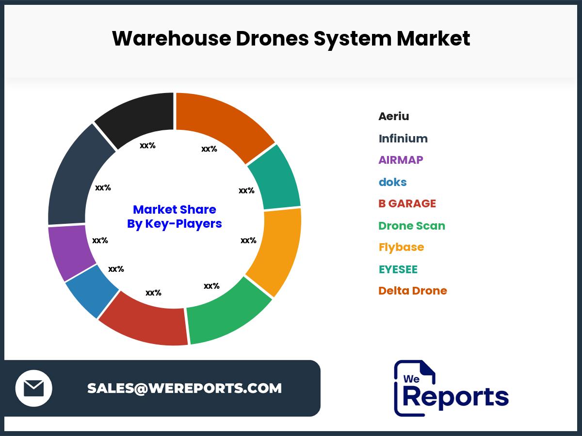 Warehouse Drones System Market