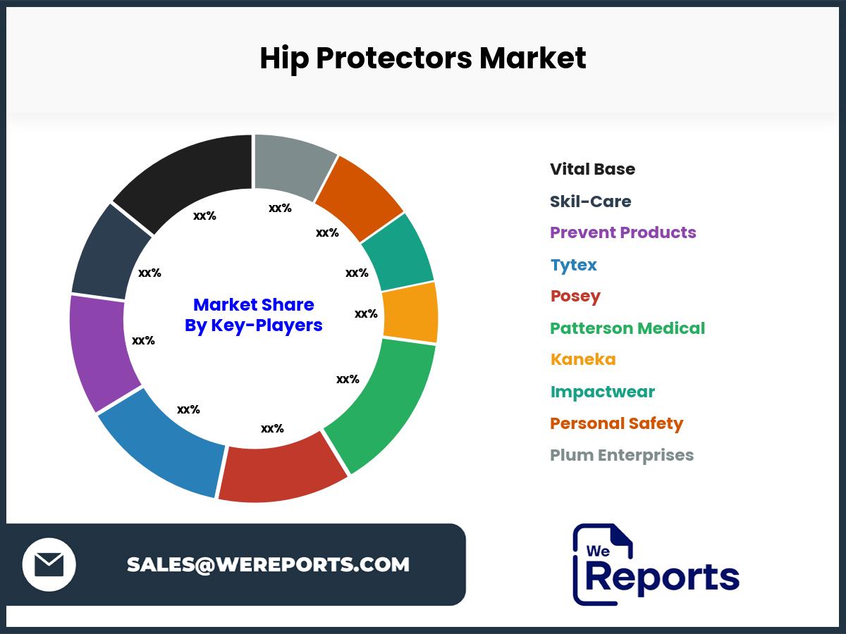 Hip Protectors Market