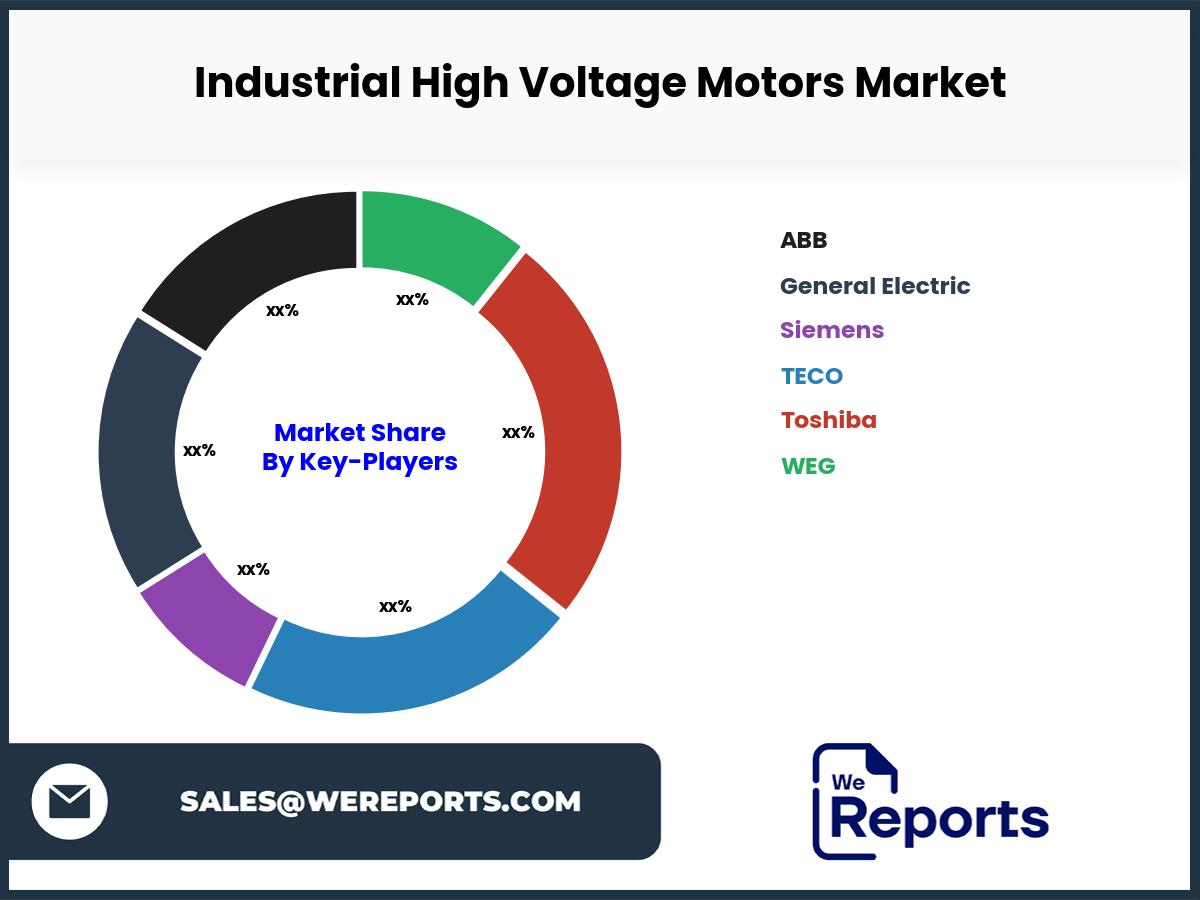 Industrial High Voltage Motors Market