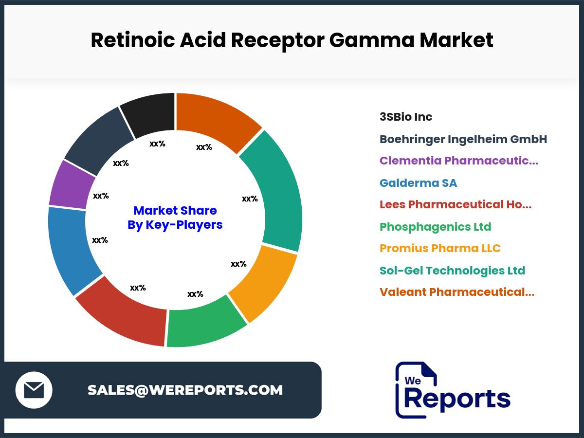 Retinoic Acid Receptor Gamma Market