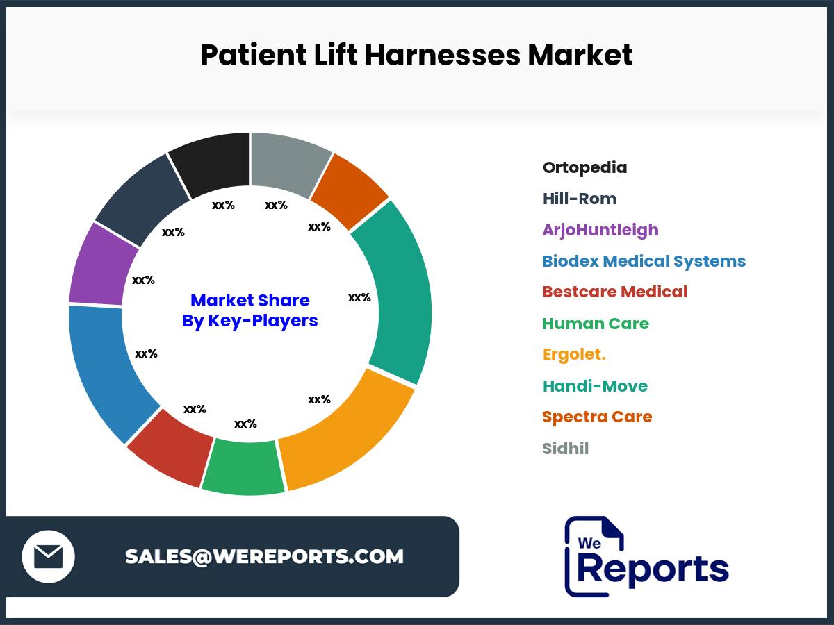 Patient Lift Harnesses Market