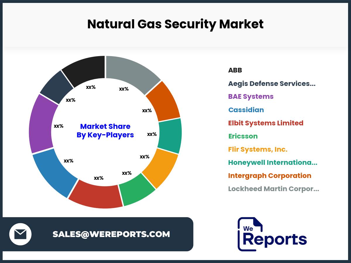 Natural Gas Security Market