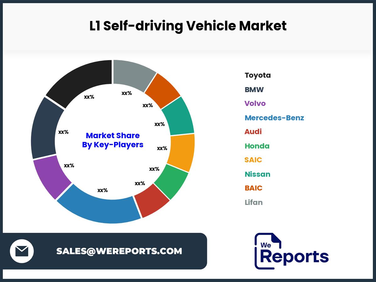 L1 Self-driving Vehicle Market