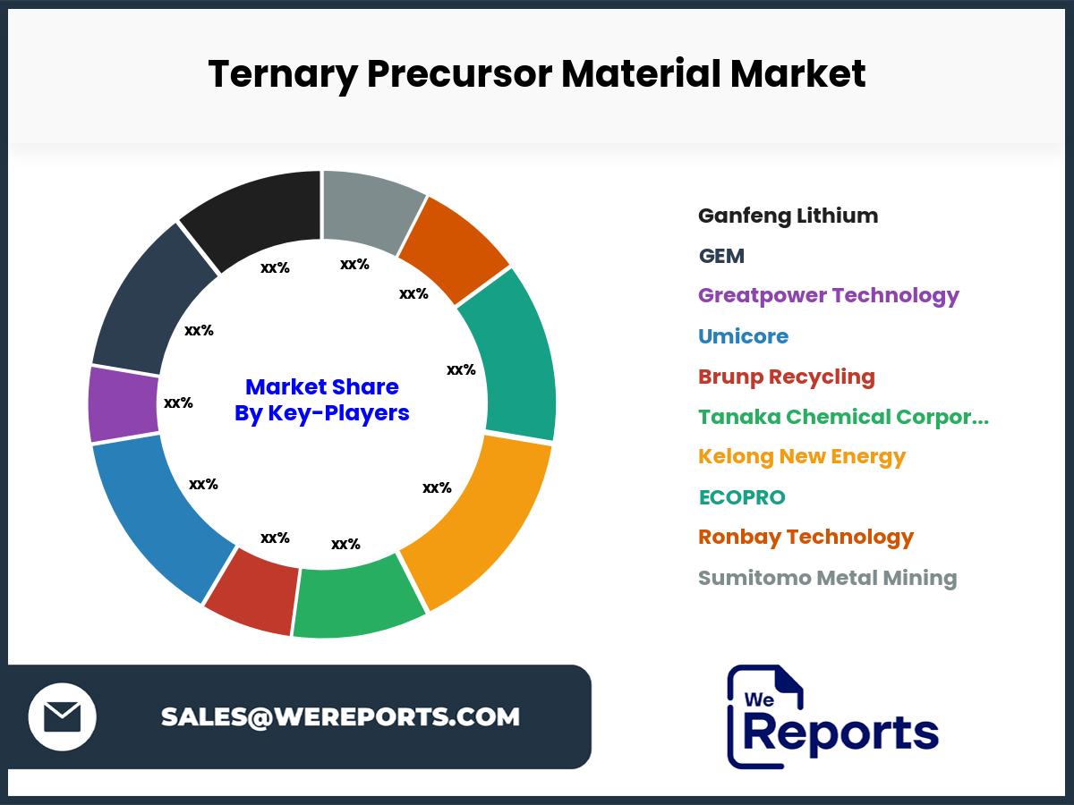 Ternary Precursor Material Market