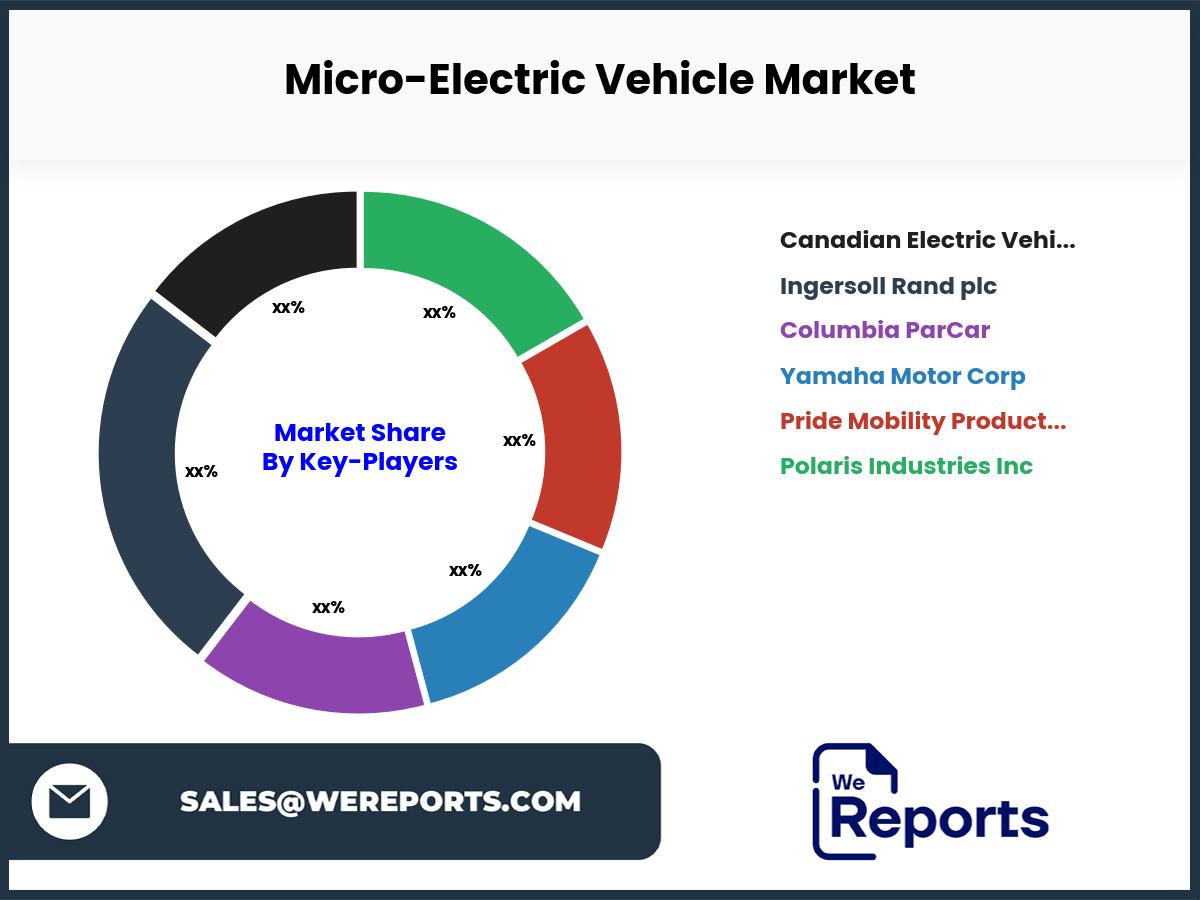 Micro-Electric Vehicle Market