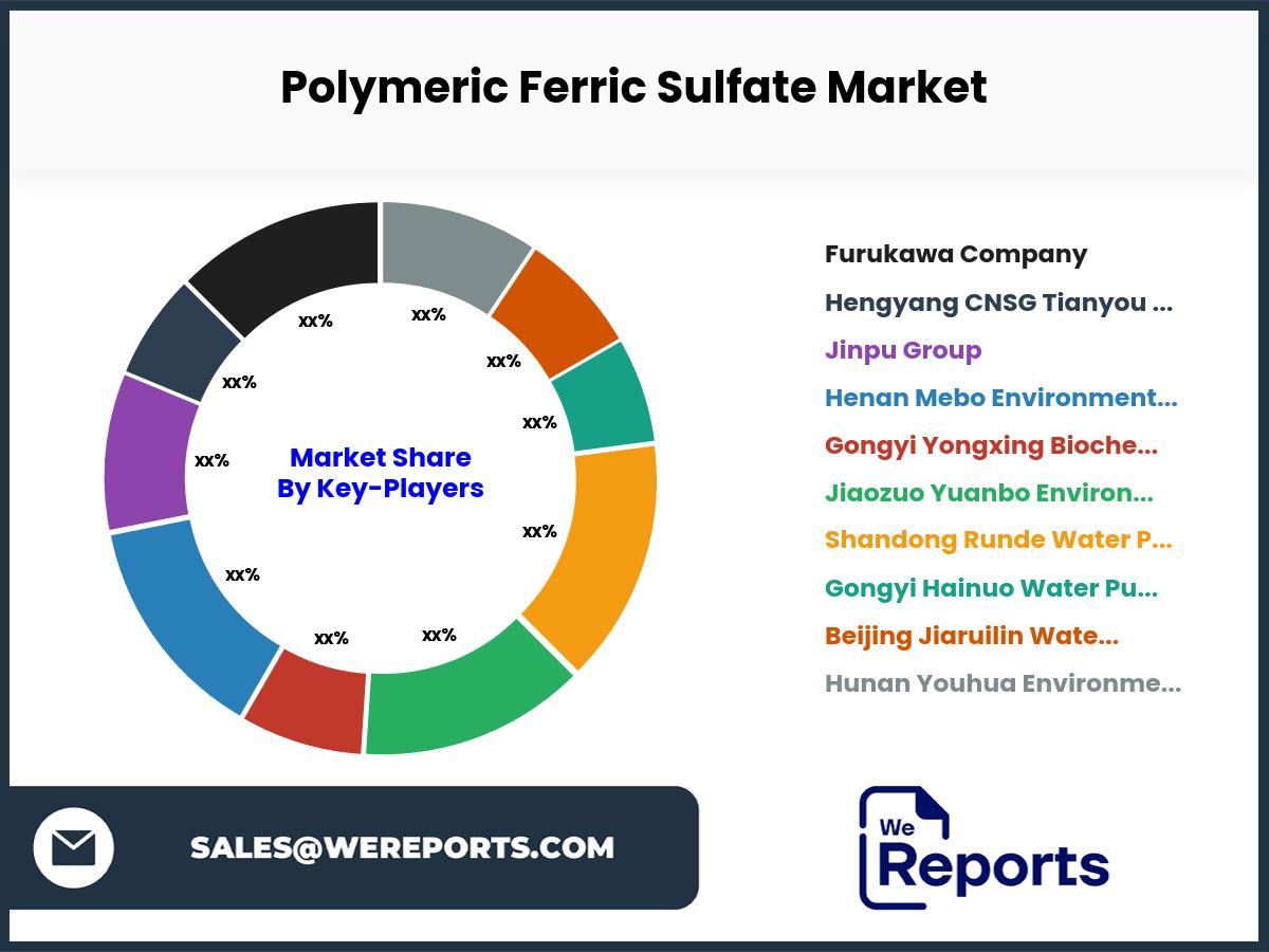 Polymeric Ferric Sulfate Market