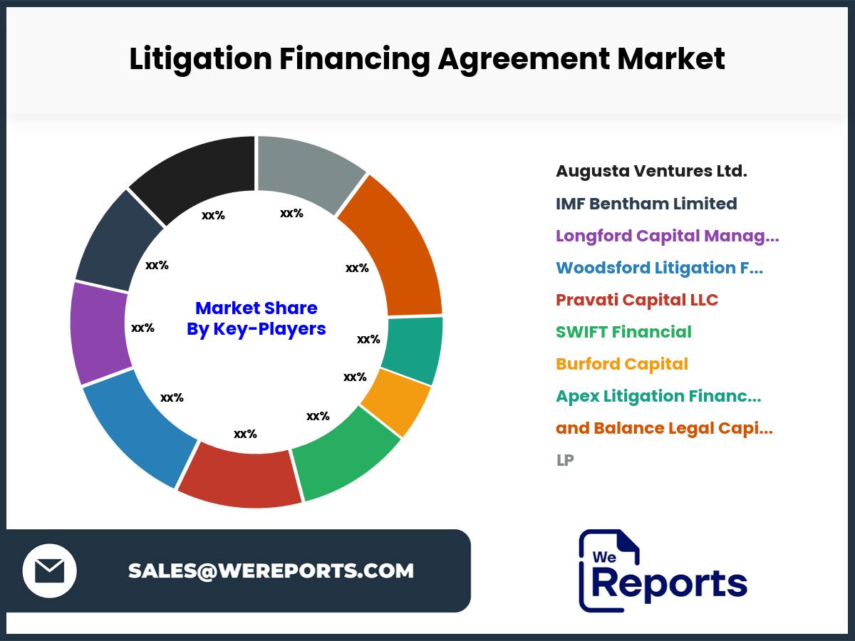 Litigation Financing Agreement Market