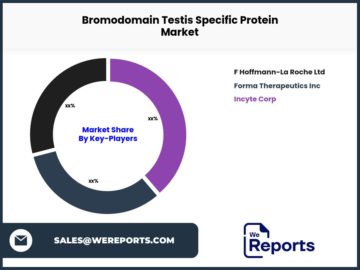 Bromodomain Testis Specific Protein Market