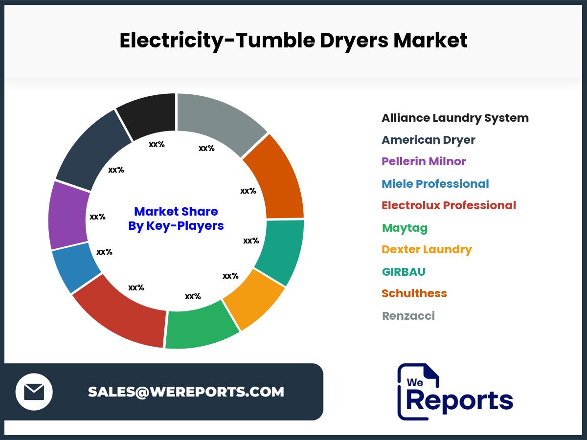 Electricity-Tumble Dryers Market