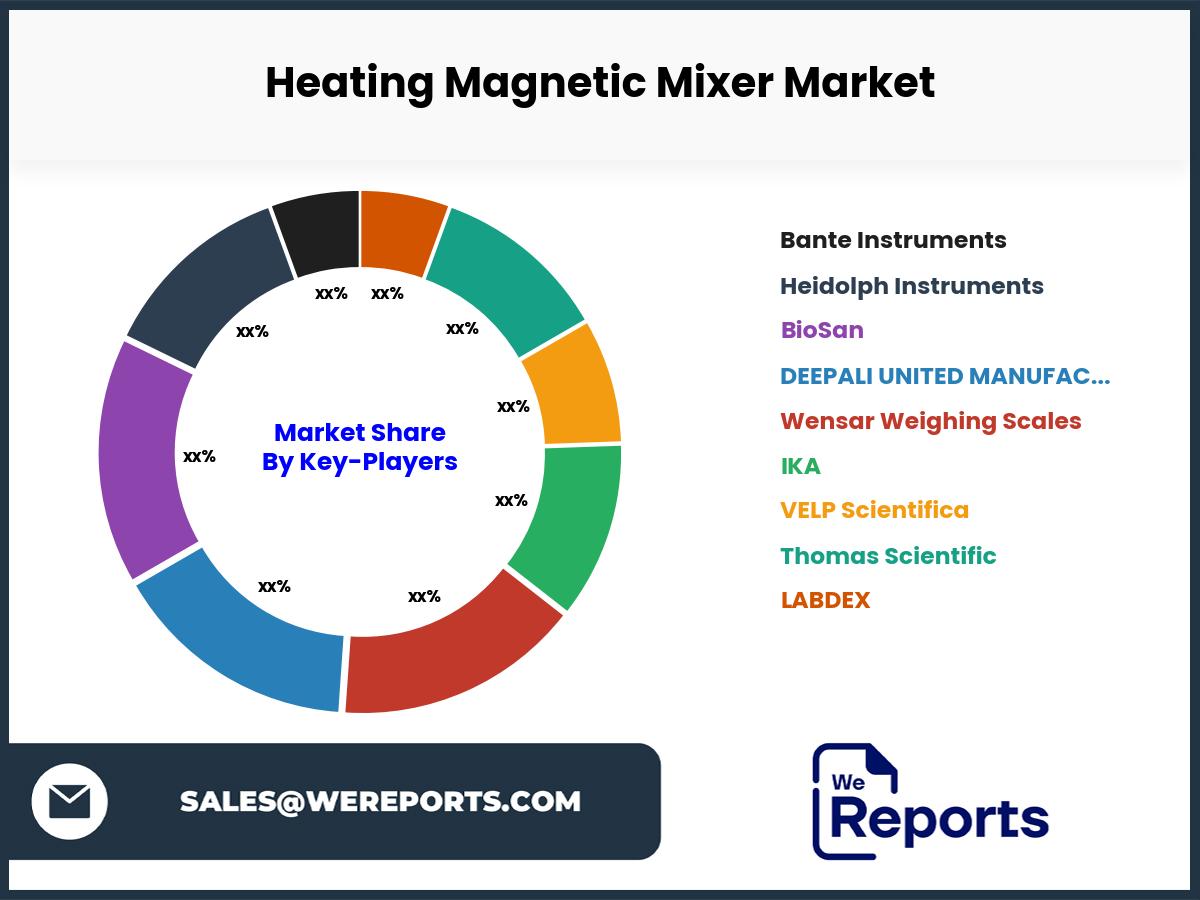 Heating Magnetic Mixer Market