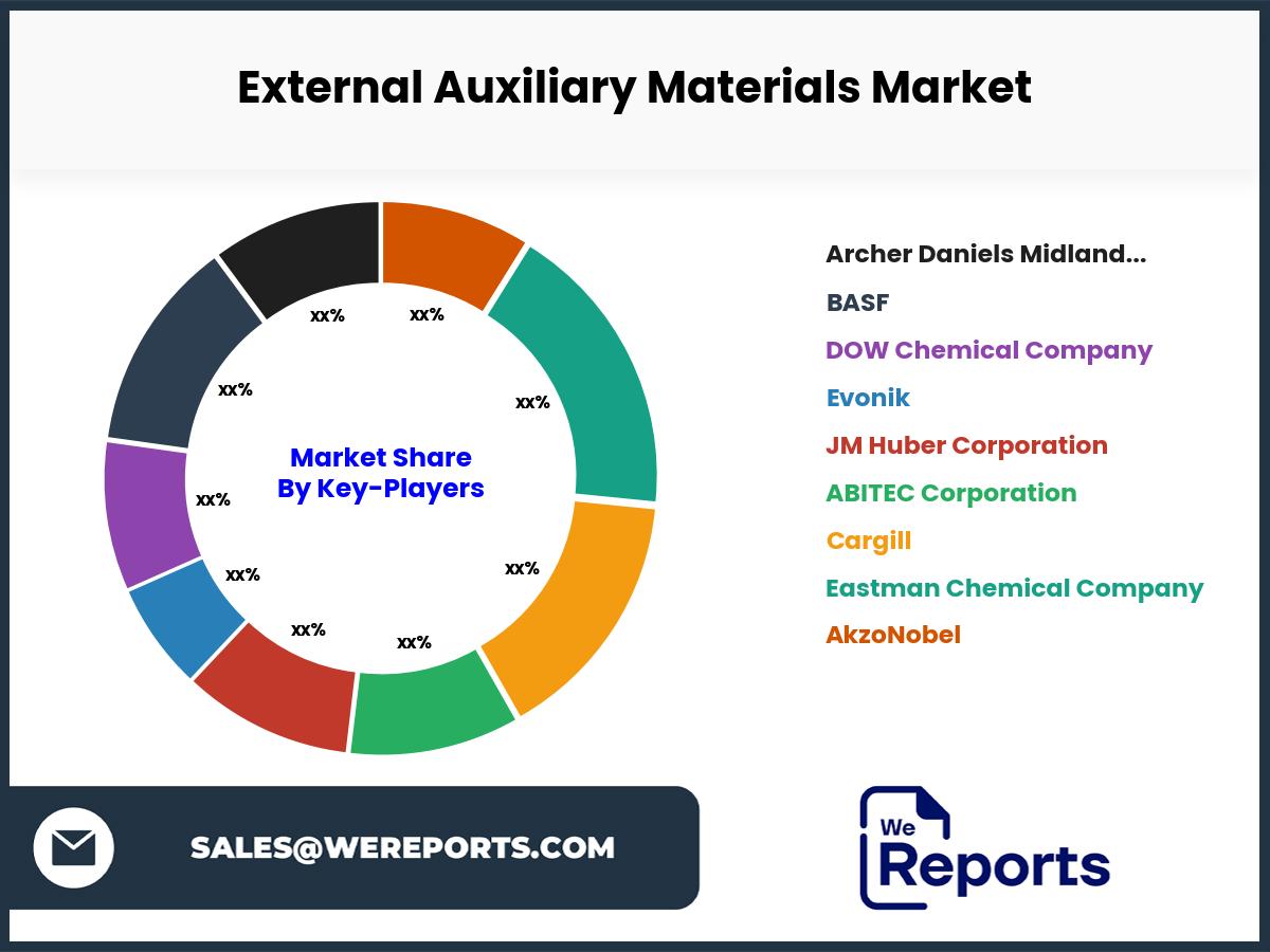 External Auxiliary Materials Market