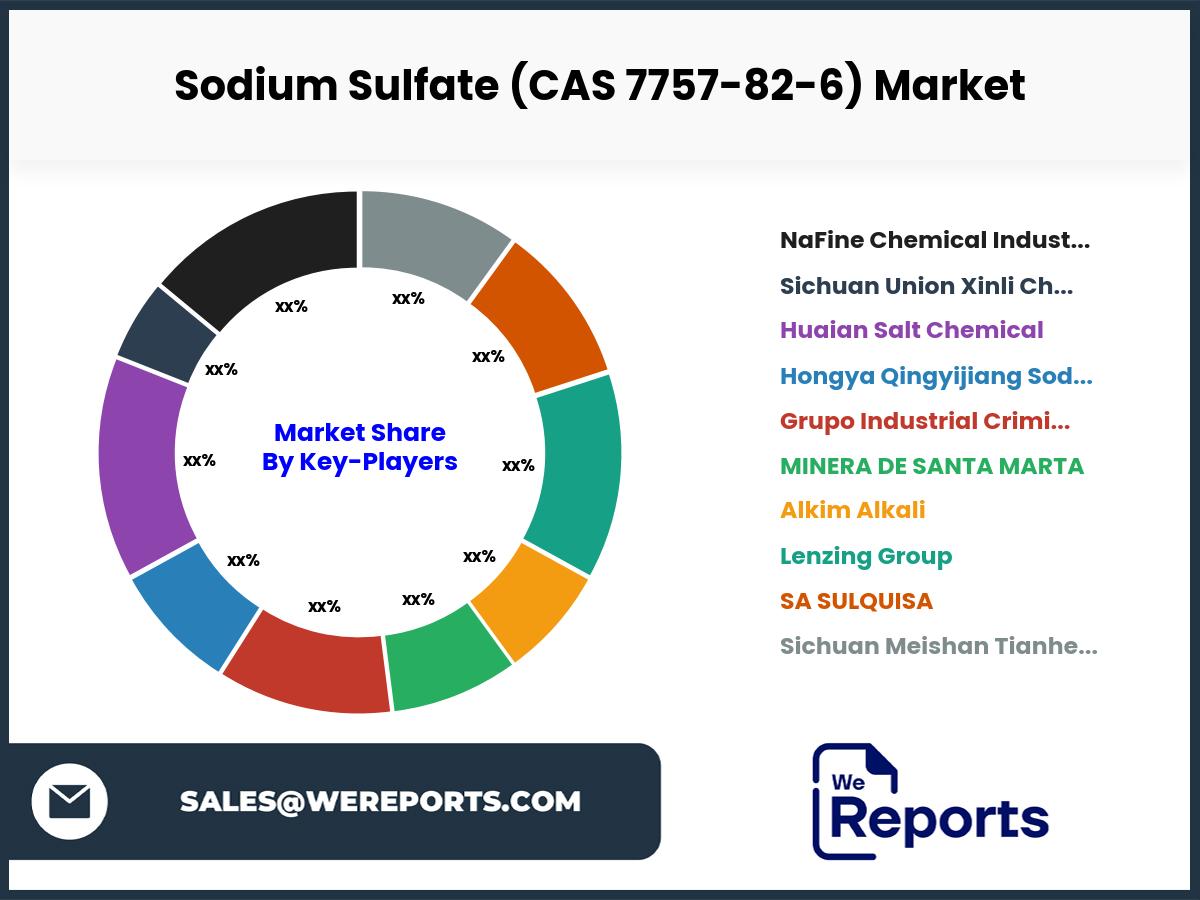 Sodium Sulfate (CAS 7757-82-6) Market