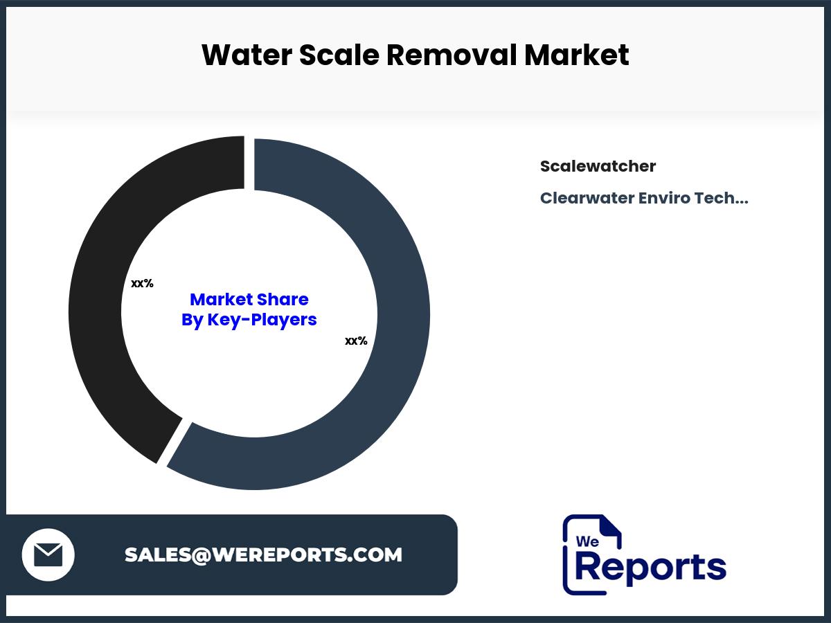 Water Scale Removal Market